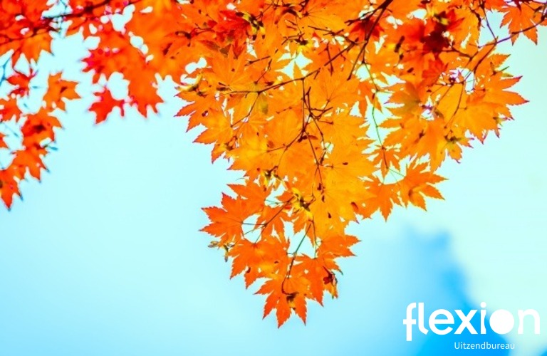 LET OP!!! : GEWIJZIGDE VERLONING I.V.M. HERFSTVAKANTIE!!!